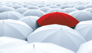 short-term-insurance